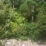 Laragh Mountain View Bed & Breakfast Saggart