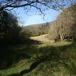 Laragh Mountain View Bed & Breakfast