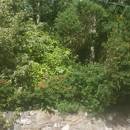 Laragh Mountain View فندق مبيت وإفطار Saggart