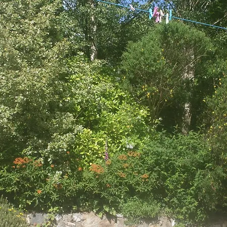 Laragh Mountain View Saggart