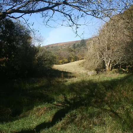 Laragh Mountain View فندق مبيت وإفطار