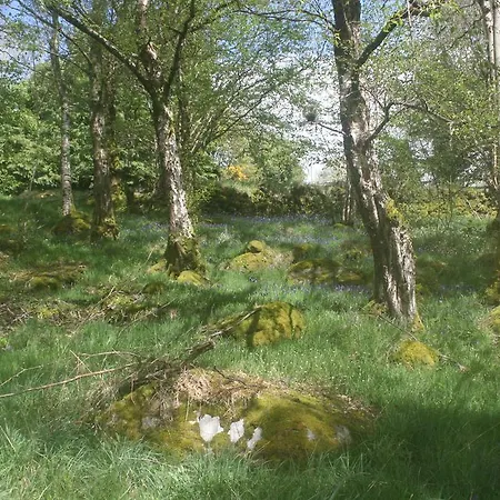 فندق مبيت وإفطار Laragh Mountain View Saggart