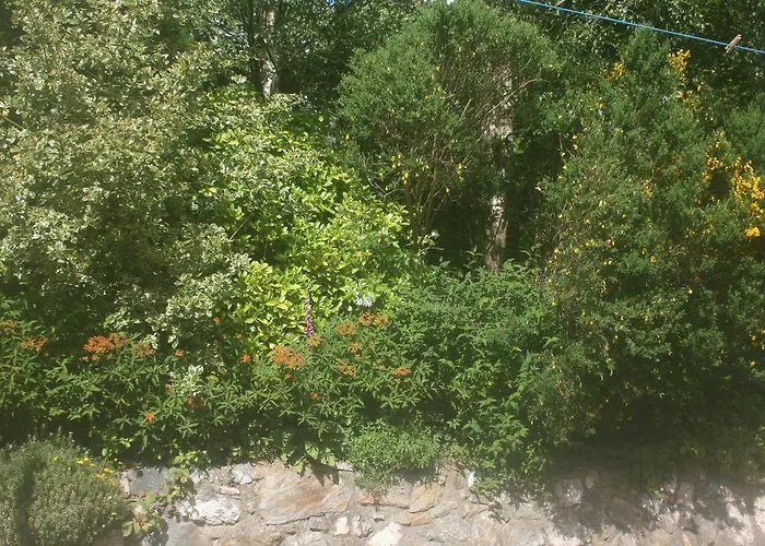 Mountain View Bed & Breakfast Saggart