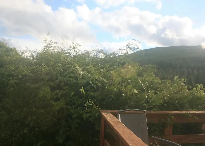 Bed & Breakfast Mountain View