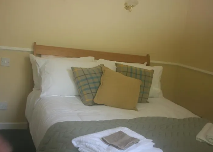 Mountain View Bed & Breakfast