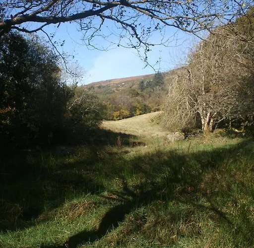 Mountain View Bed & Breakfast