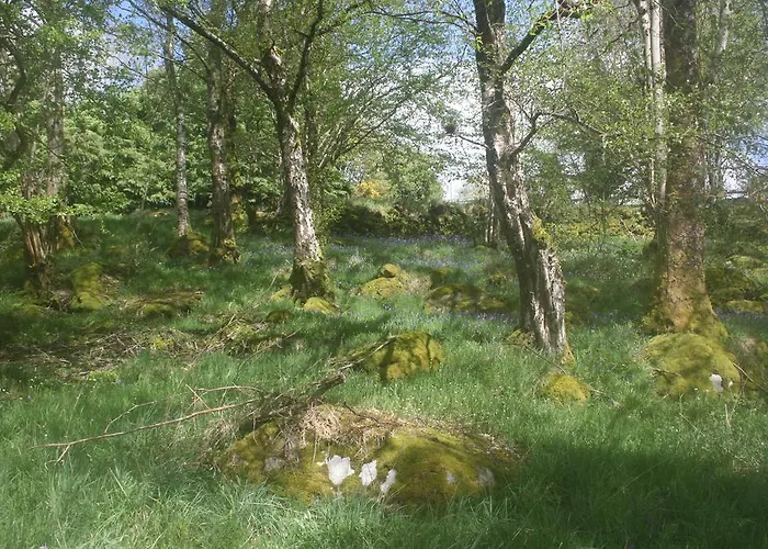 Bed & Breakfast Mountain View Saggart